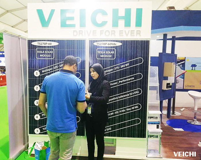 VEICHI team communicates with customers