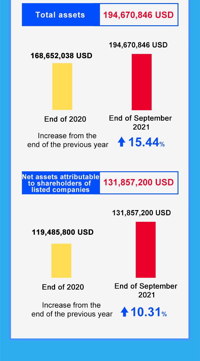 Main financial indicators