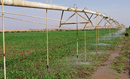 SI23 75KW solar pump inverter in Morocco